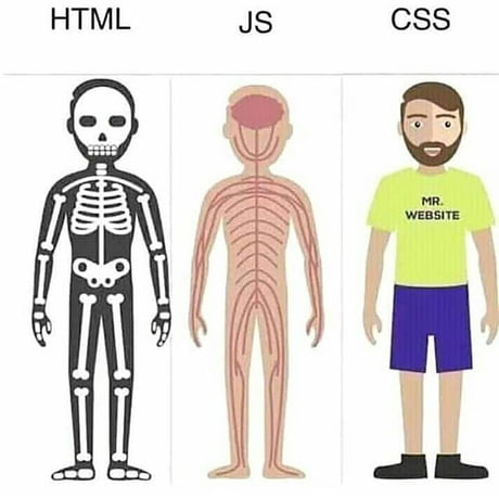 HTML, CSS, Javascript working together
