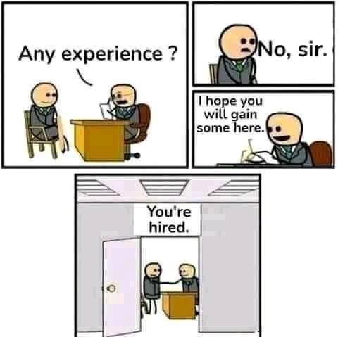 Job Experience